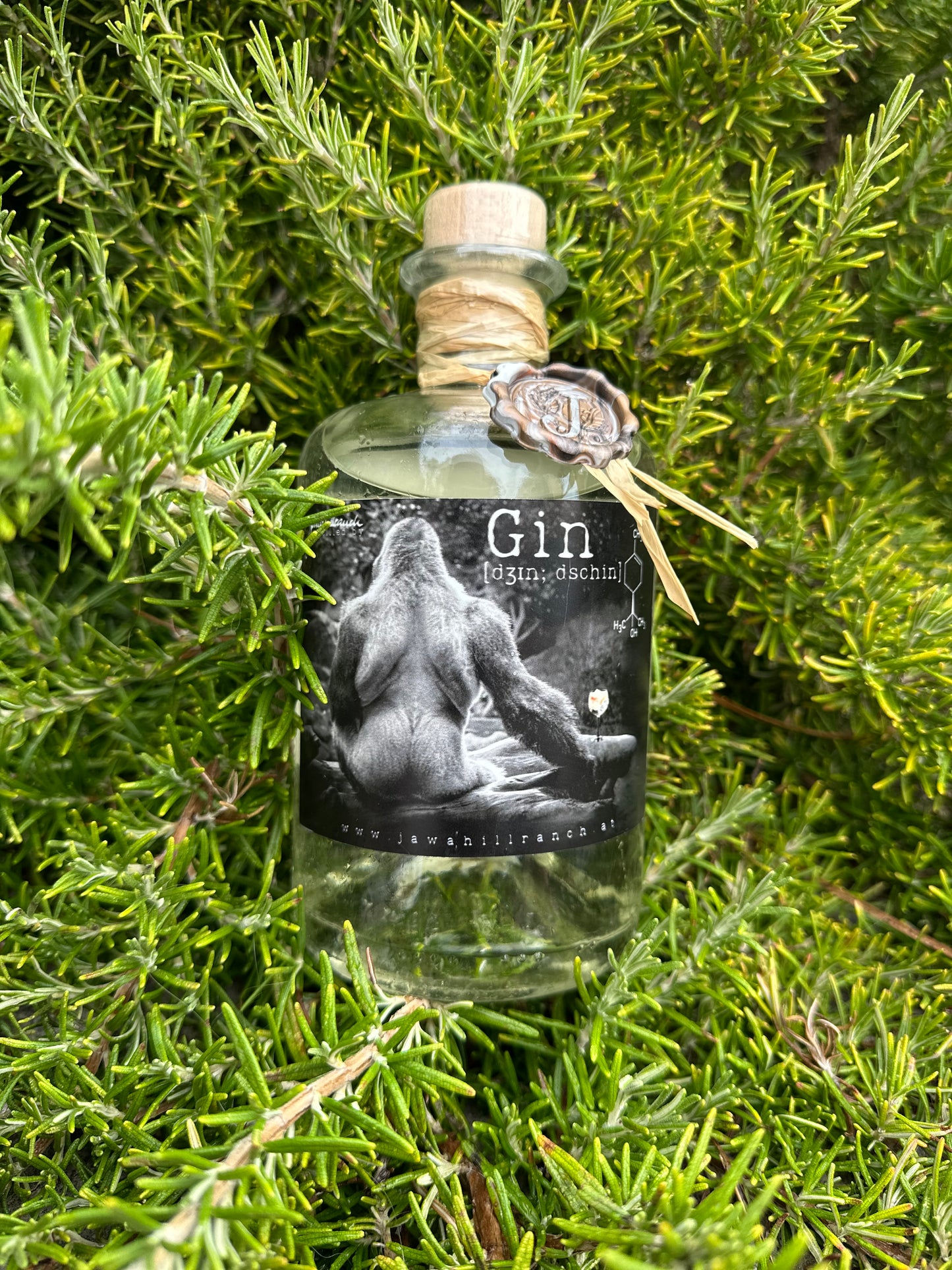 Gin Silverback classic